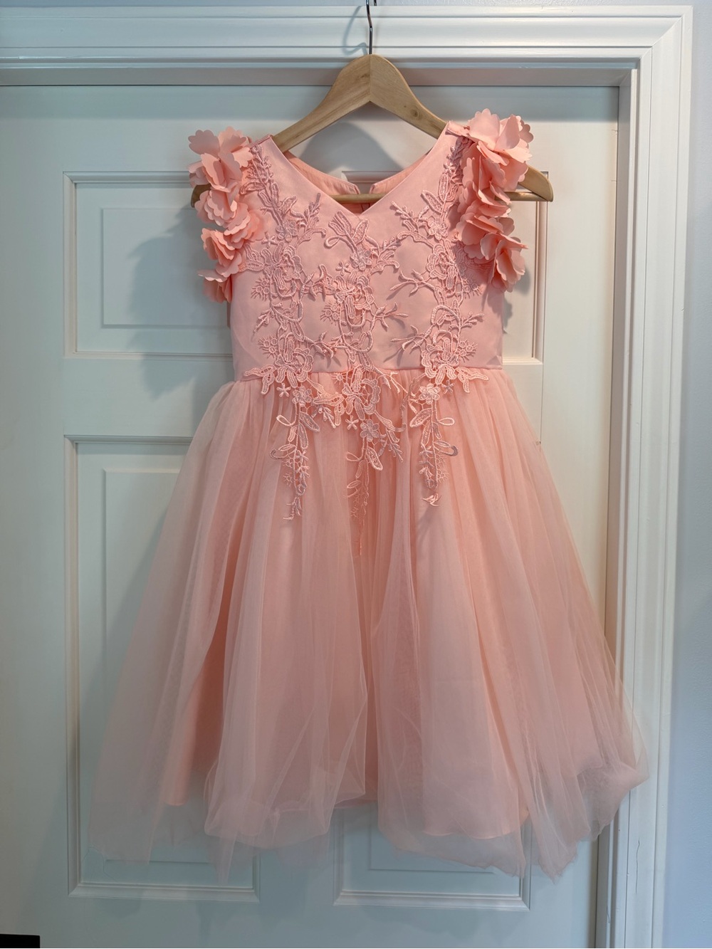Girls Blush Pink Floral Appliqué Tulle Party Dress